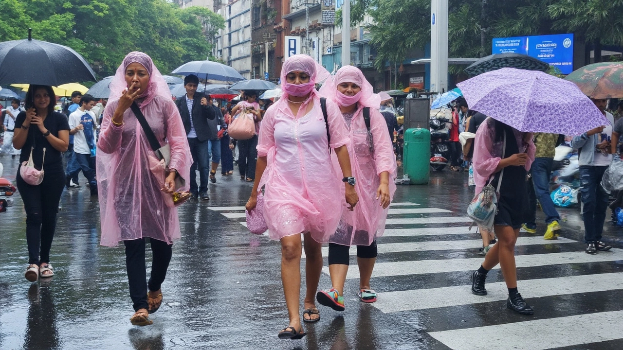 What’s Driving the Wild Weather?